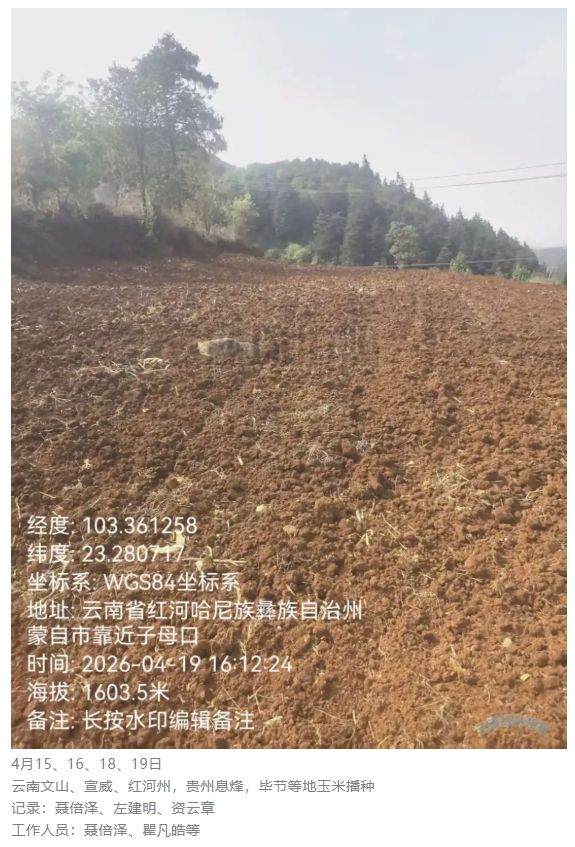 图片6.png
