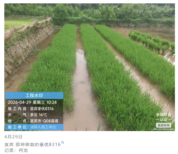 图片14.png
