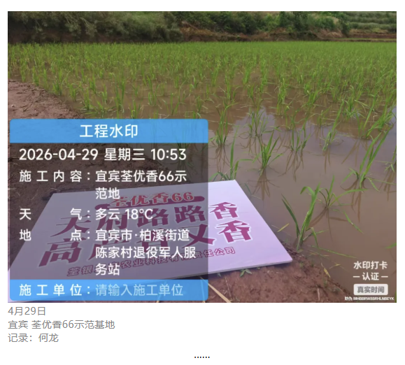 图片15.png